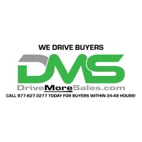 DriveMoreSales.com logo - Similar company to Sababa.Global