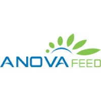 ANOVA FEED logo - Similar company to Vision Intellect Enterprises
