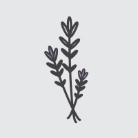 Little Lilacs Birth Services