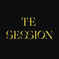 The Session Hair Studio & Agency logo - Similar company to Talent Lab