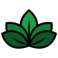 Nelumbo Consultores logo - Similar company to TNS Software Inc