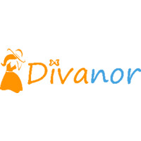 Divanor logo - Similar company to Palcode.Ai