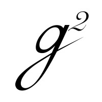 G2 Software Systems logo - Similar company to Perstech