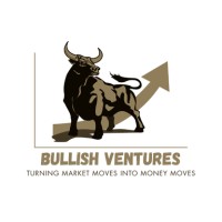 Bullish Ventures logo - Similar company to Interview Buddy