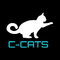 Centre For Creative Arts And Technologies (C-Cats)
