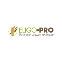ELIGO-PRO logo - Similar company to Sopro Sarl