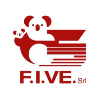 F.I.Ve. S.R.L.