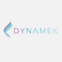 Dynamek logo - Similar company to Dynamek Group Ltd.