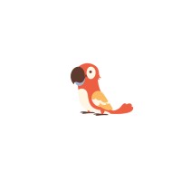 Petlib.Co