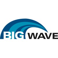 BigWave Software logo - Similar company to Tsi - Triencon Services