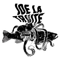 Joe La Truite logo - Similar company to Dvya
