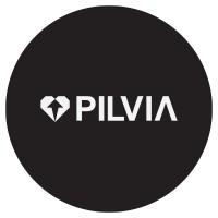 Pilvia logo - Similar company to Digio