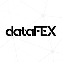 Datafex Bilişim Teknolojileri logo - Similar company to Project Scorpion