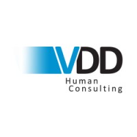VDD Human Consulting logo - Similar company to Soservices