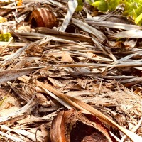 The Forest Floor Collective logo - Similar company to Still North