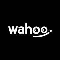 Wahoo Social logo - Similar company to Buzz Vision