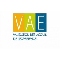 ISTM VAE/VAP logo - Similar company to Vap! Vendas De Alta Performance