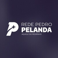 Rede Pedro Pelanda logo - Similar company to Rede Valvic