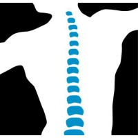 Quiropraxia - QuiroVida logo - Similar company to Coluna Ajustada
