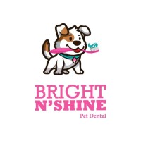 Bright N' Shine Pet Dental