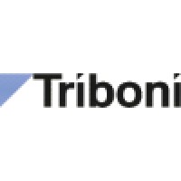 Triboni AG logo - Similar company to Rombro.Ch