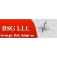 Bsg Llc