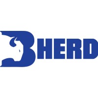 Bherd Buffalo