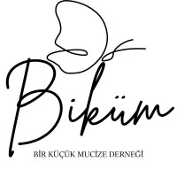 Bir Küçük Mucize logo - Similar company to Melda.Io