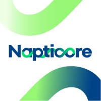 Napticore logo - Similar company to Forzasel
