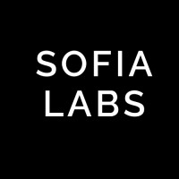 Sofia Team Consulting logo - Similar company to Nfseeds.Io