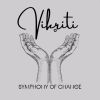 Vikriti logo - Similar company to Solvex Learning Solutions