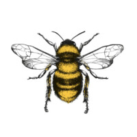Yellow See LLC logo - Similar company to Celebrations Speech Group Inc.