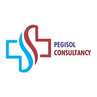 PEGISOL Consultancy logo - Similar company to Youngo Learn