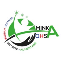 MINKA QHSA logo - Similar company to Sd Expert