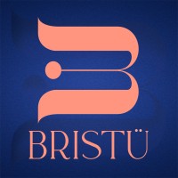 Bristu Studio logo - Similar company to Doodletown