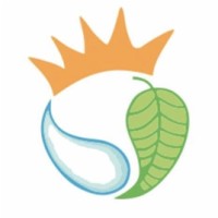 SpringFresh logo - Similar company to Simone Reali