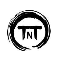 TNT Business Services Pvt. Ltd. logo - Similar company to Rs Consultancy