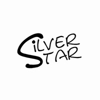 Silver Star Company ( SSC ) logo - Similar company to Silver Star