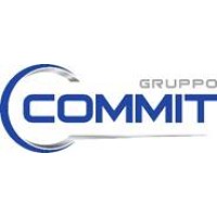 COMMIT SIDERURGICA S.P.A. logo - Similar company to Commit Group