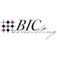 BIC Consulting logo - Similar company to Pal Plastic
