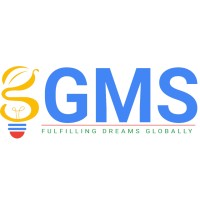 Global Matrix Solution logo - Similar company to Eazire Webtech