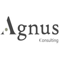 Agnus Consulting logo - Similar company to Agnus Consulting - Investing In People