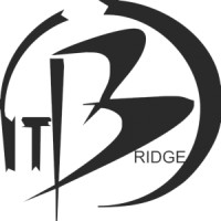 IT Bridge Nepal logo - Similar company to Taggedweb