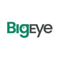 Big Eye logo - Similar company to Big Eye