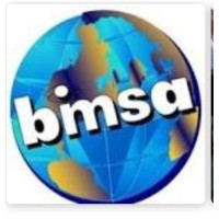 Bimsa Business Intelligence