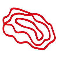 swissbrain ag logo - Similar company to Datascale Gmbh