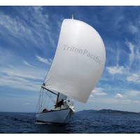 Triton Pacific Capital Partners, LLC logo - Similar company to Meroka