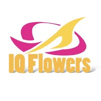 IQ Flowers logo - Similar company to Megamas Export