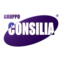 Gruppoconsilia S.r.l. logo - Similar company to Beside Insurance Solution