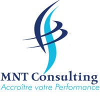MNT Consulting logo - Similar company to Ibss Group Africa